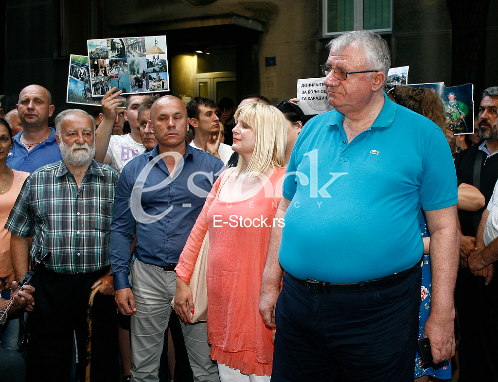 centar za kulturnu dekontaminaciju, mirdita, srpska radikalna stranka protest