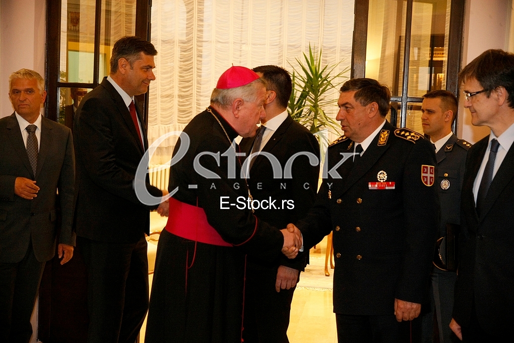 Serbian Army Day