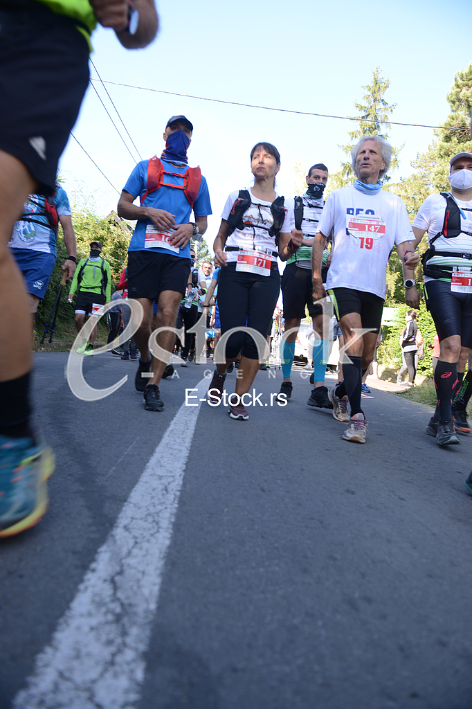Fruskogorski maraton
