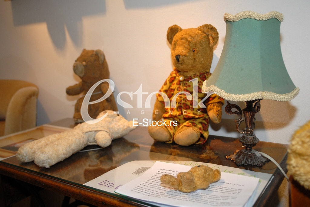 Exhibition teddy bears toys