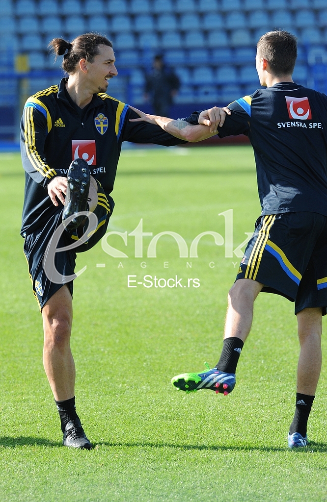 Training of Sweden national football