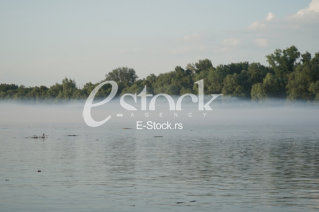 Zaprasivanje komaraca