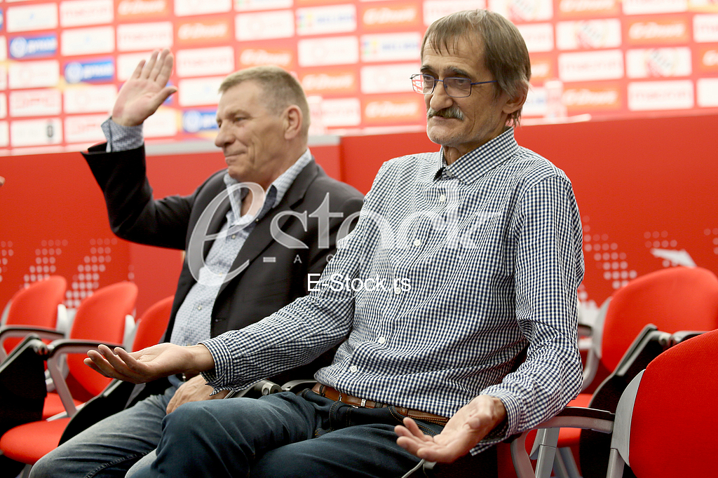 Milos Sestic Zdravko Borovnica