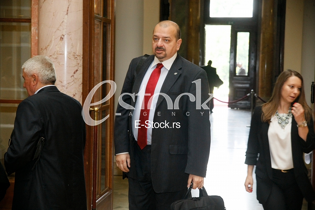 Serbian Assembly session
