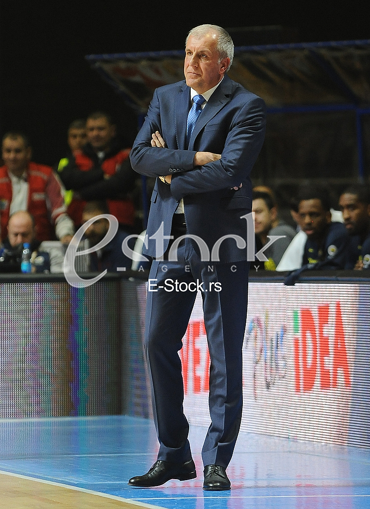 CRVENA ZVEZDA vs FENERBAHCE