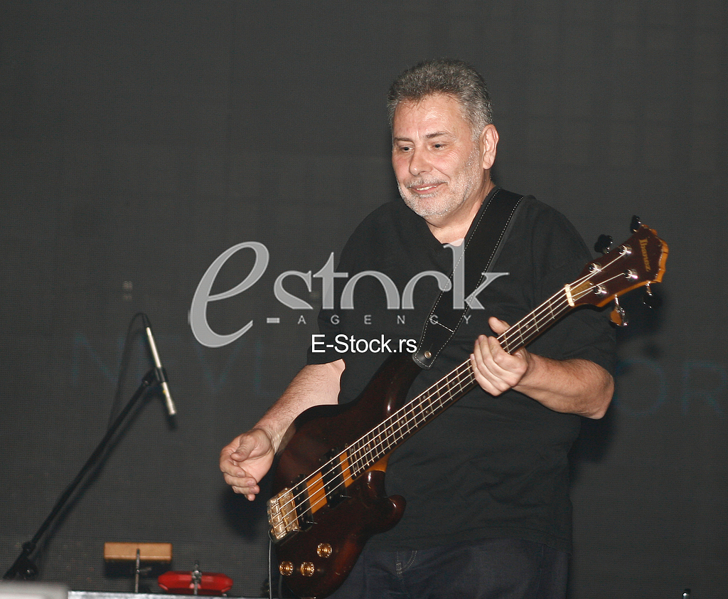 vlada divljan 60. rodjendan, koncert u savacentru