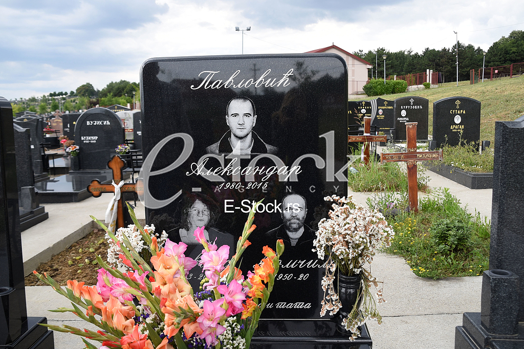  Aleksandar Pavlovic's grave 
