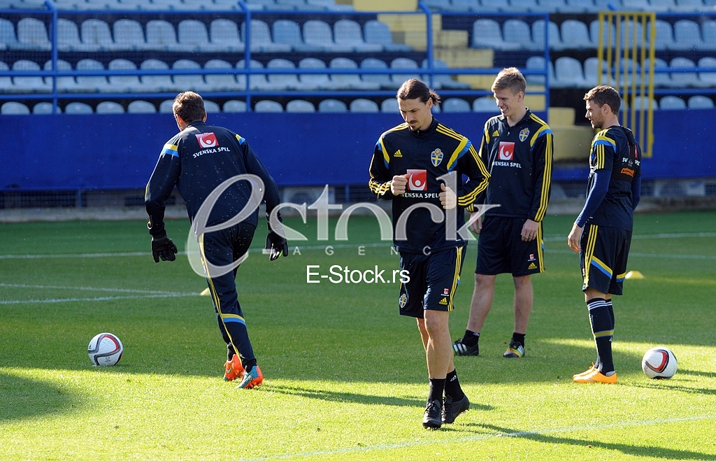 Training of Sweden national football