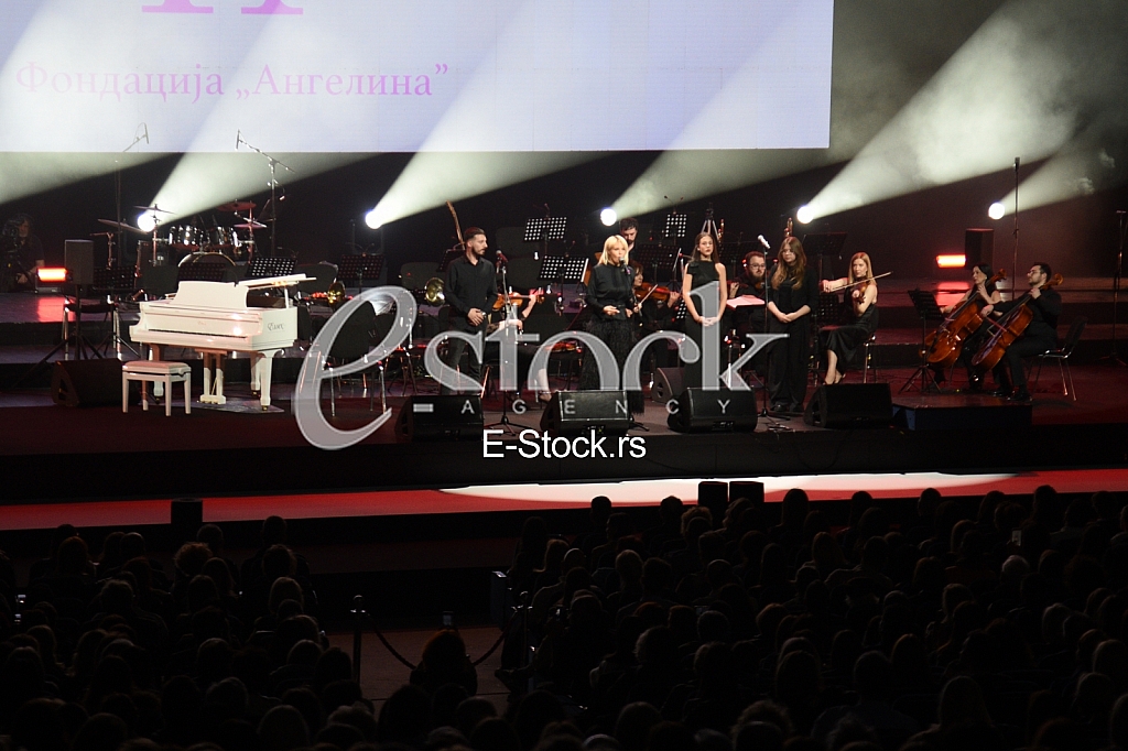 Fondacija Angelina humanitarni koncert