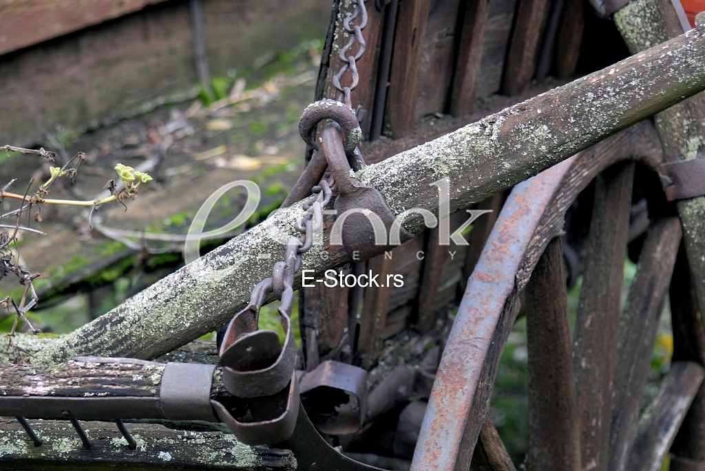 Wood