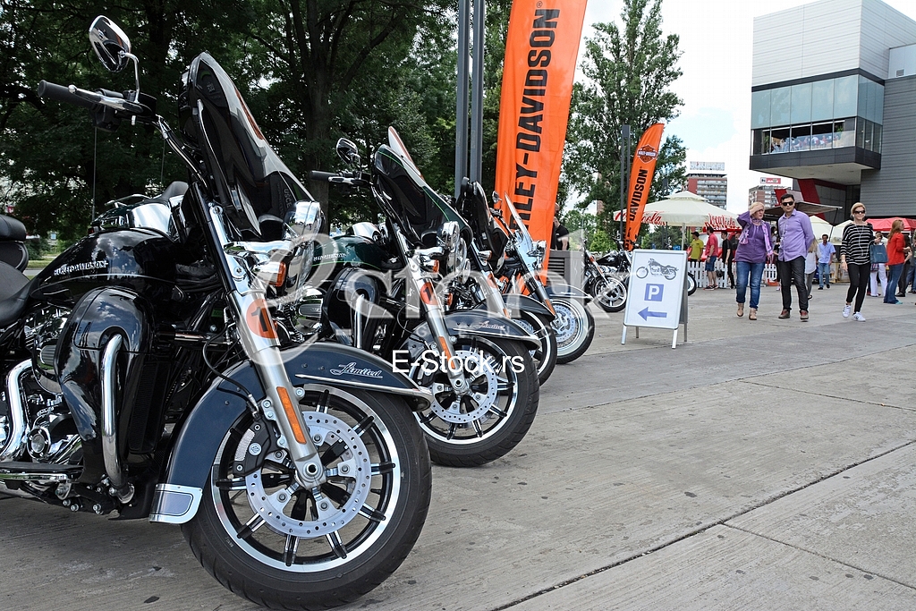 Promote and test drive of Harley Davidson