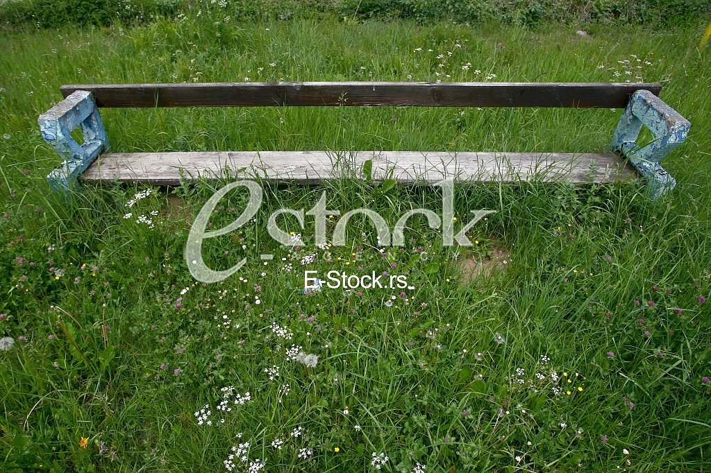 old wooden bench in the green field and forest nature