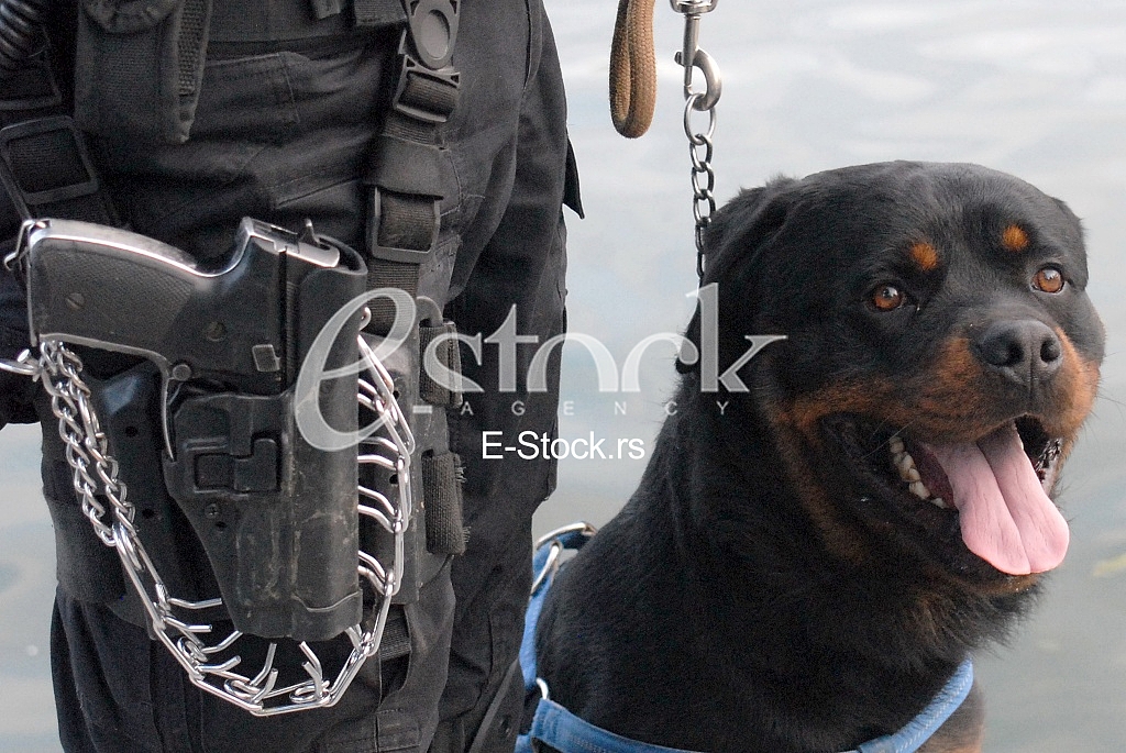 Serbian Police Special Forces Operators