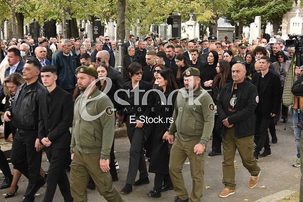 Nebojsa Pavkovic porodica