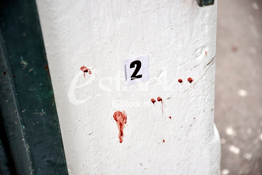 A citizen of Bosnia and Herzegovina, Marko Radovic, was killed in Sevina street in Zemun.