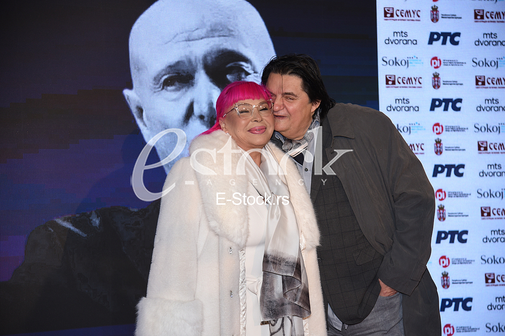 Zorica Brunclik Miroljub Arandjelovic Kemis