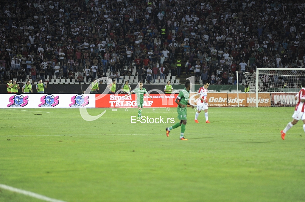 Qualification for the Champions League Red Star - Ludogorets