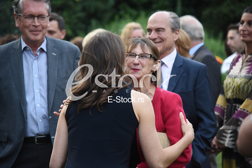 Summer party in the German embassy
