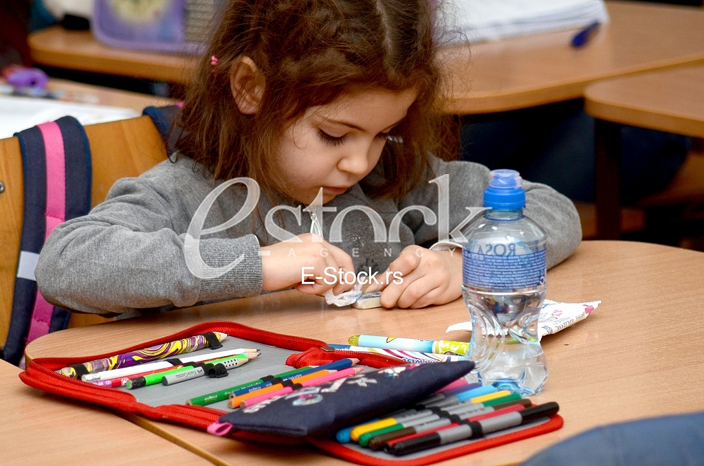 The elementary school Vuk Karadzic
