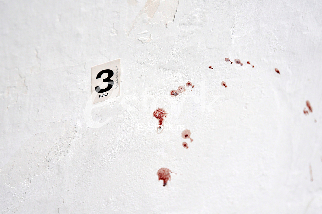 A citizen of Bosnia and Herzegovina, Marko Radovic, was killed in Sevina street in Zemun.