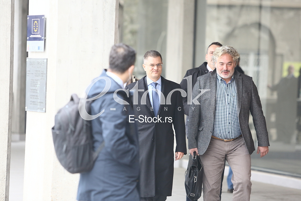 Vuk Jeremic i Vladimir Gajic