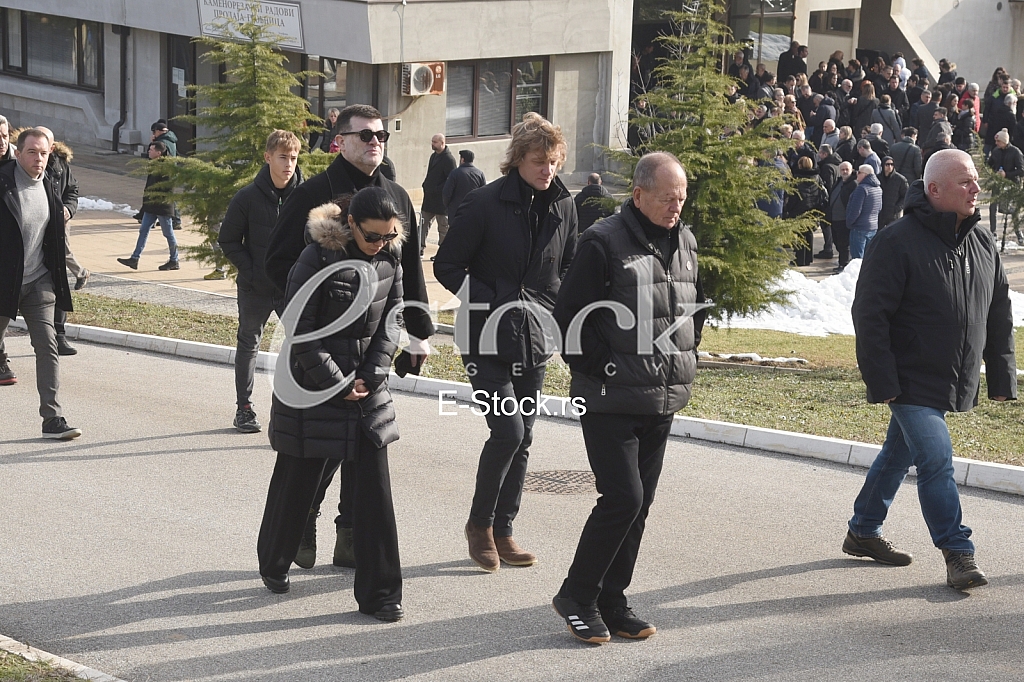 Nemanja Vidic porodica