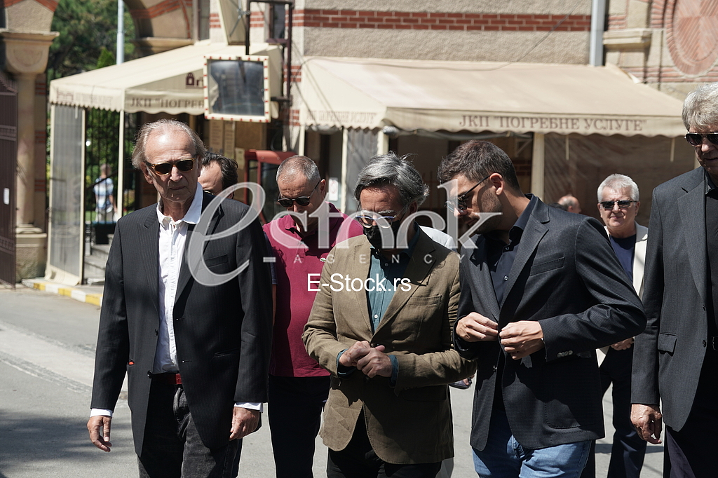 Svetozar Cvetkovic, Ivan Medenica i Milan Maric