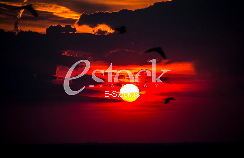 Sunset