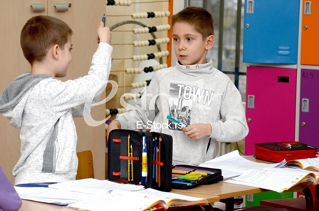 The elementary school Vuk Karadzic