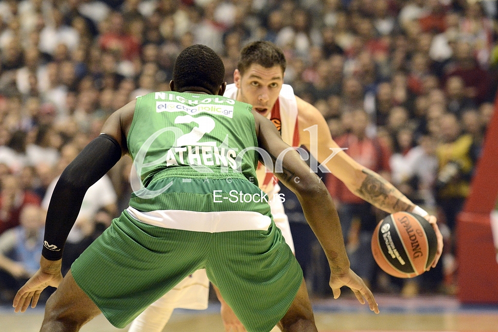 Red Star- Panathinaikos basketball game