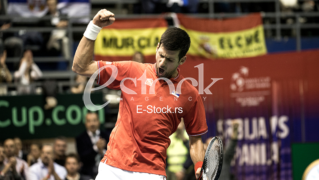 Davis Cup tennis