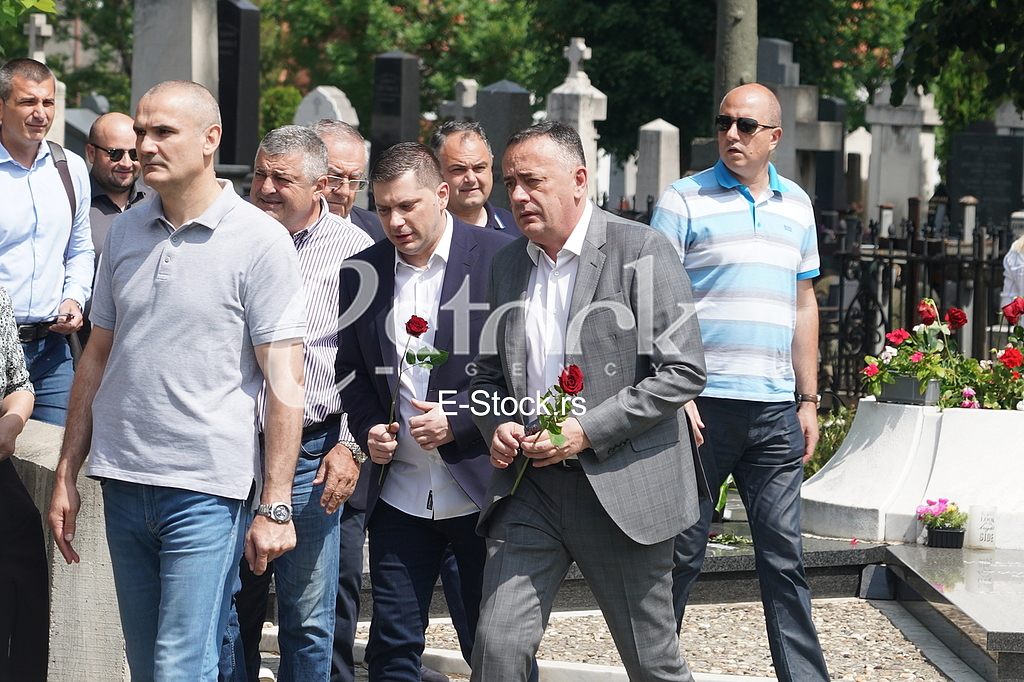 Nikola Nikodijevic, Aleksandar Antic, Pomen Milutinu Mrkonjicu