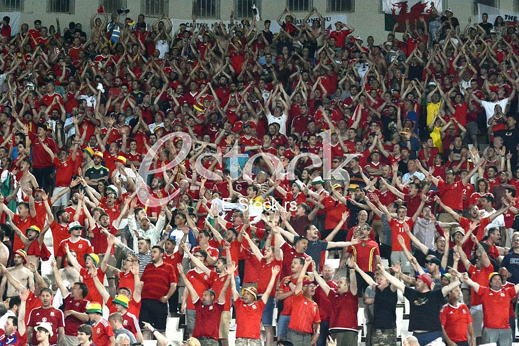  Serbia-Wales, football match.
