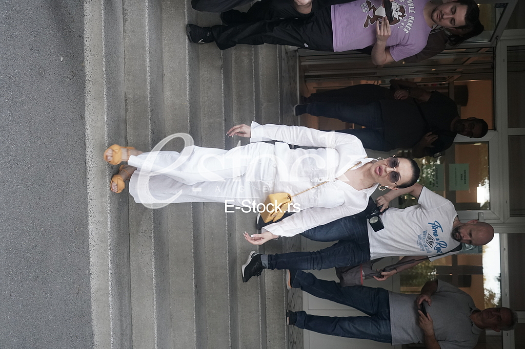 Izbori Svetlana Ceca Raznatovic glasa