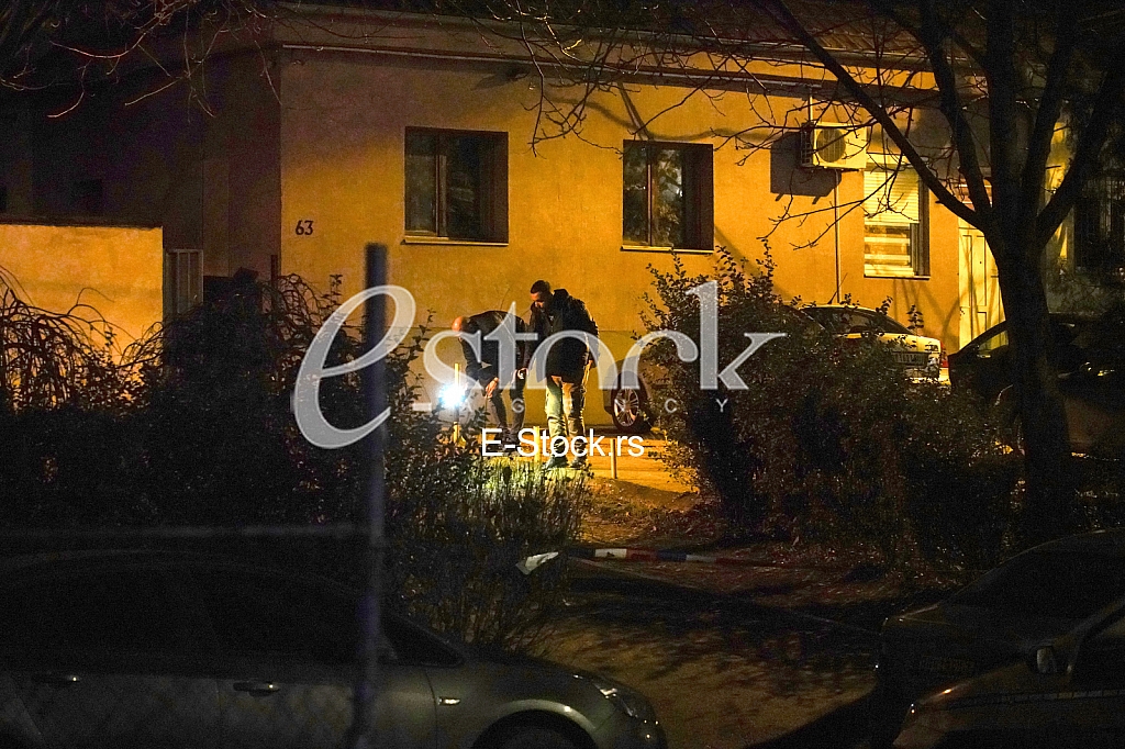 Pucnjava ranjavanje Nemanje Bojovica Hemije