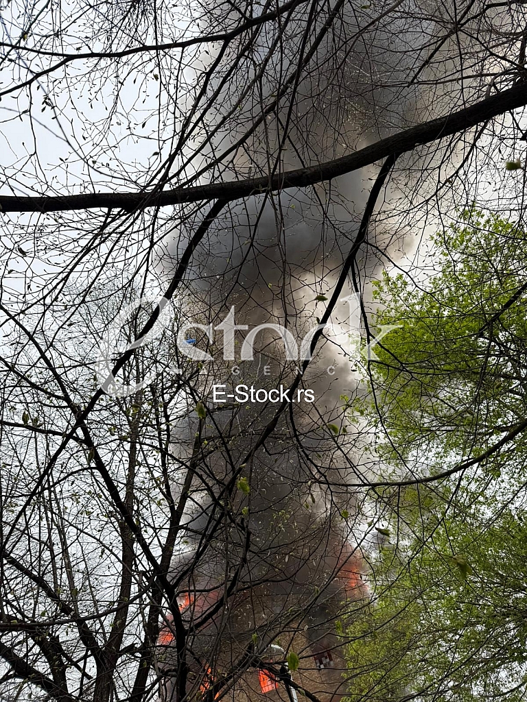 Pozar Stari mlin Obrenovac