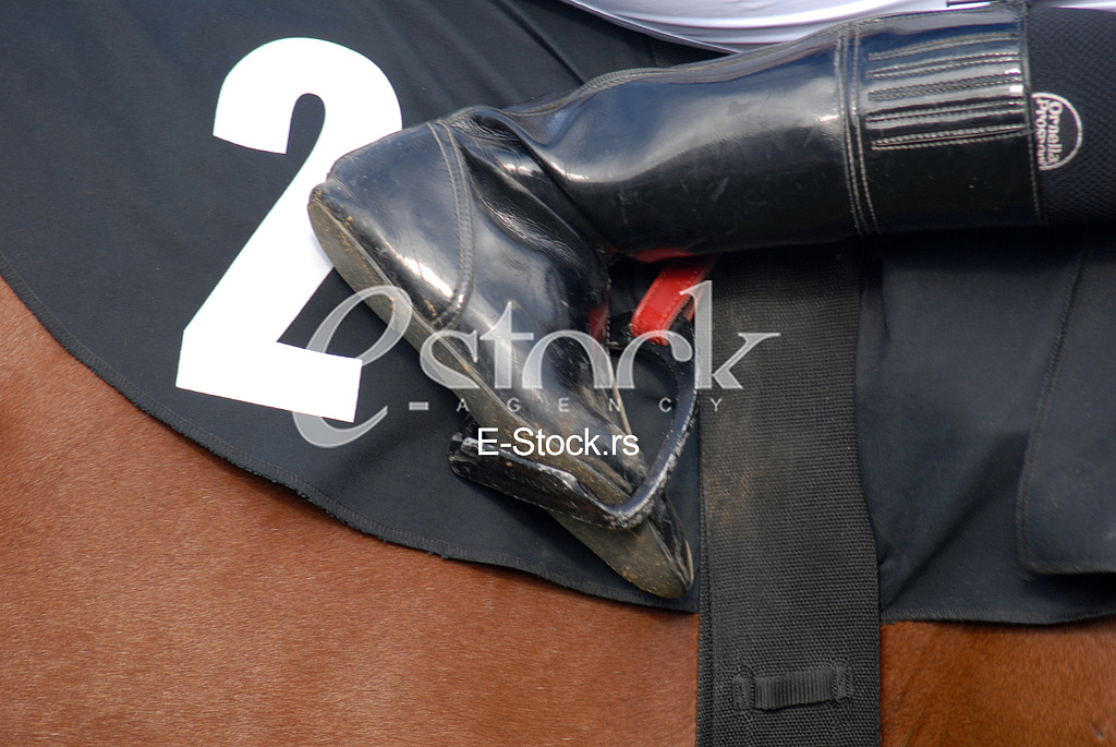 Ljubicevo Equestrian Games
