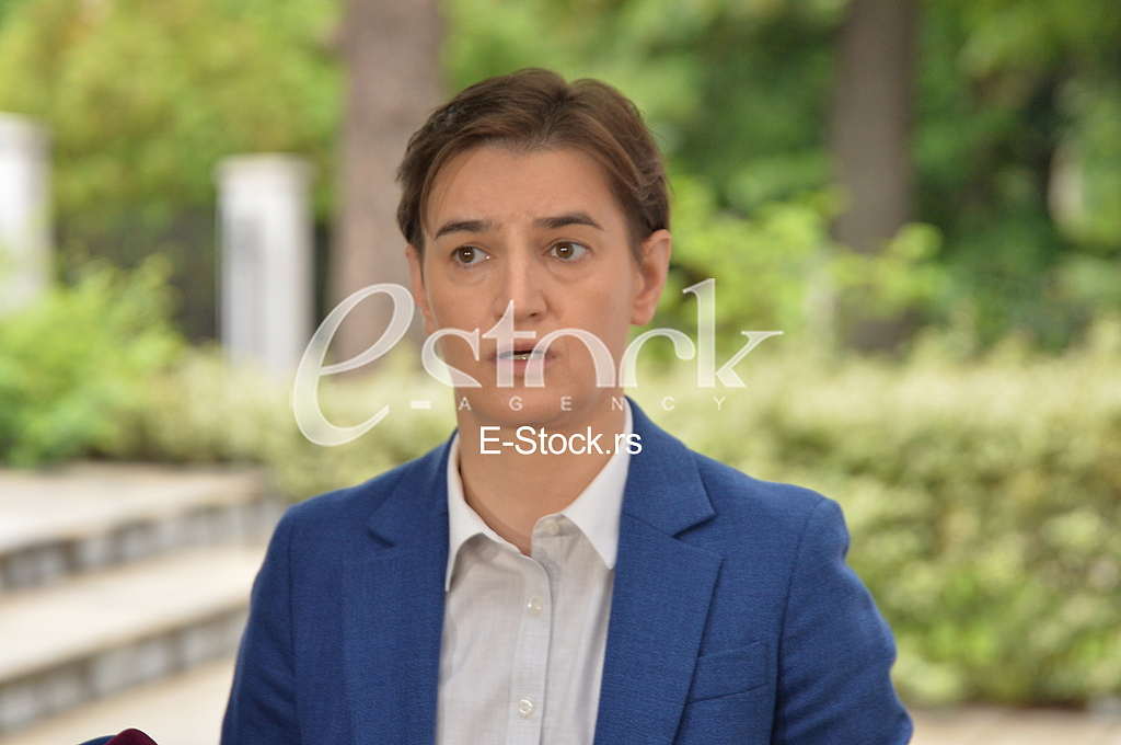 Ana Brnabic