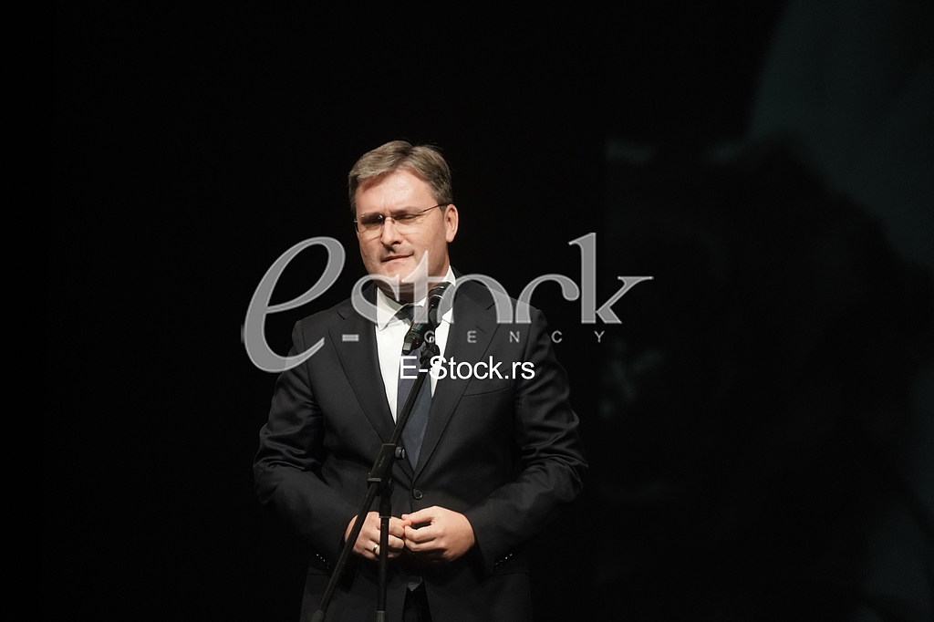 nikola selakovic