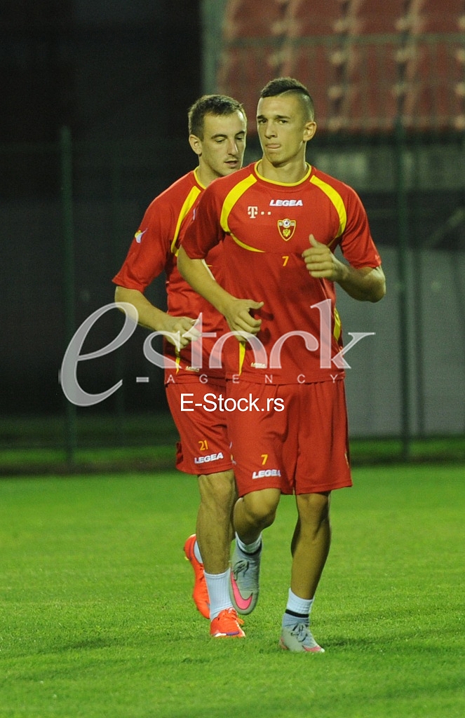 Stanisa Mandic