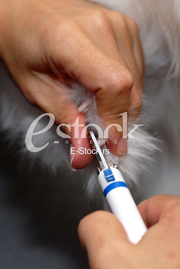 Grooming