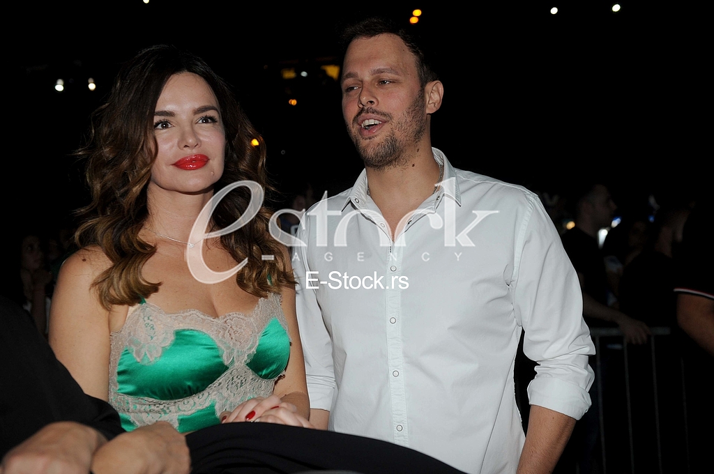 Sinan Sakic koncert