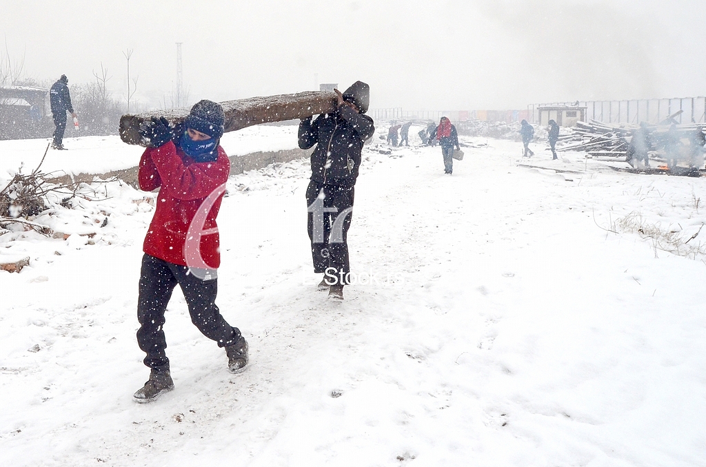 Migrants 