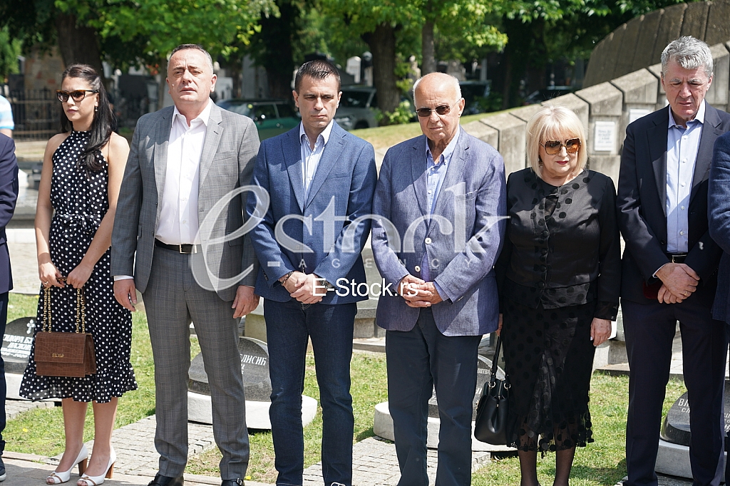 Aleksandar Antic, Djordje Milicevic, Toma Fila, Slavica Djukic Dejanovic, Zarko Obradovic
