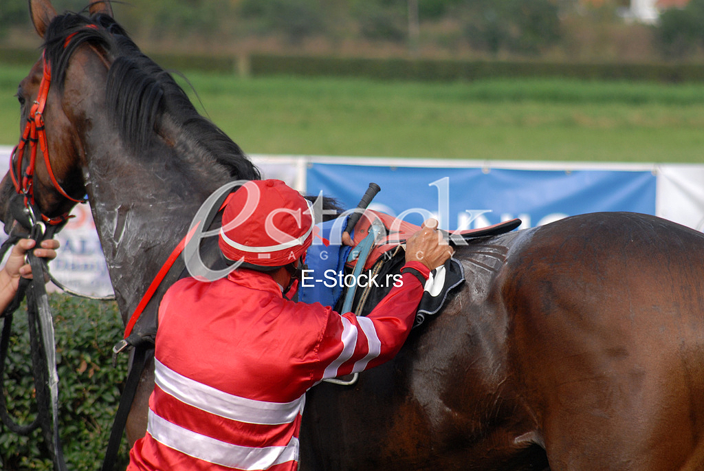 Ljubicevo Equestrian Games
