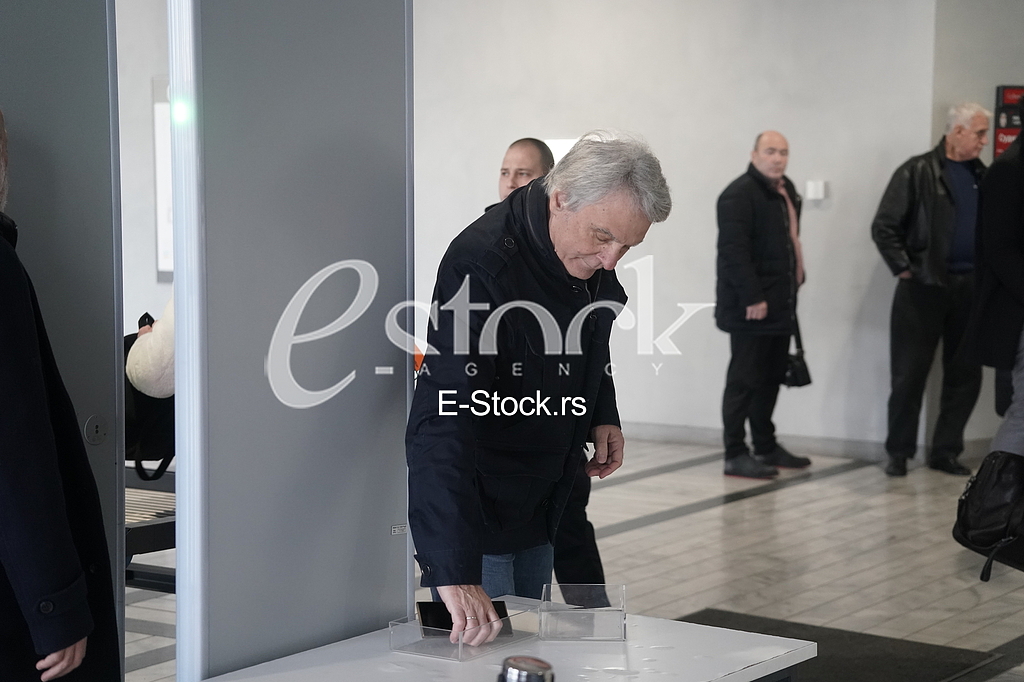 Miroslav Mika Aleksic