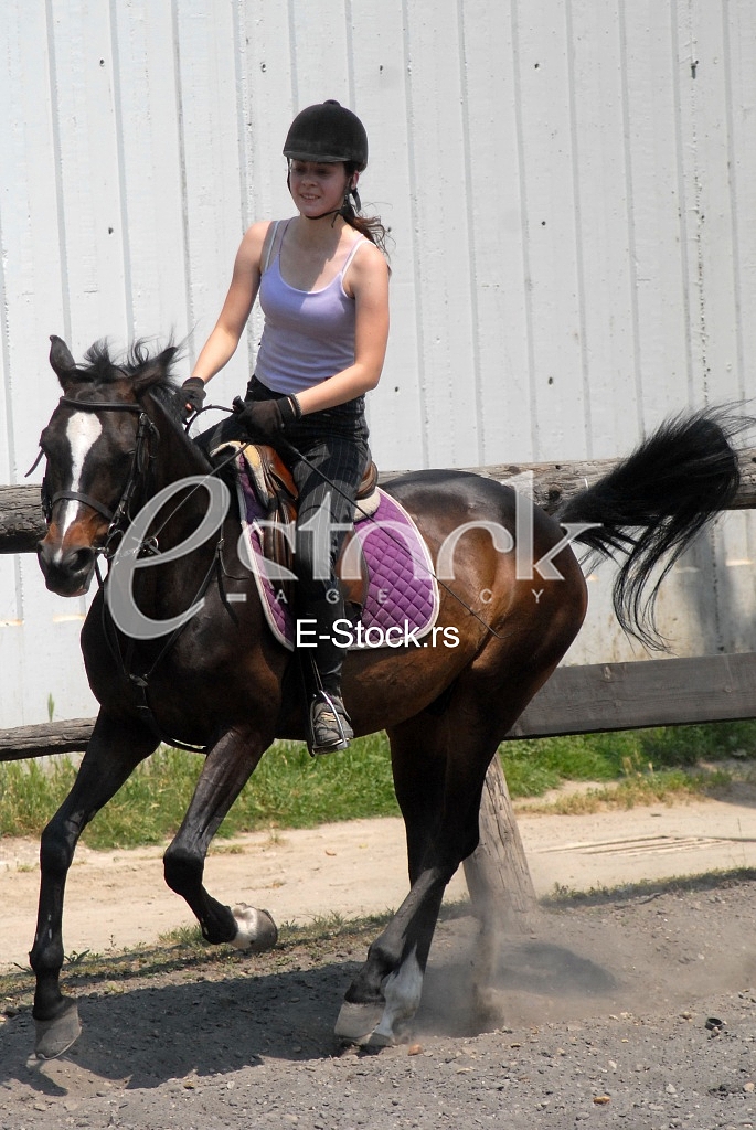 Horse