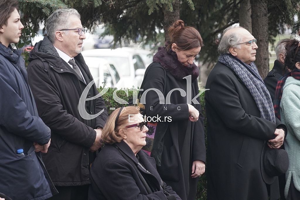 Milica Mihajlovic i Vojislav Voja Brajovic