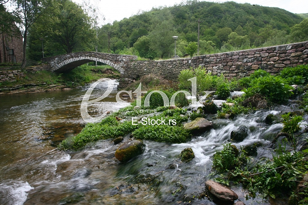 Mountain river flowing at summer forest landscape with stone bridge