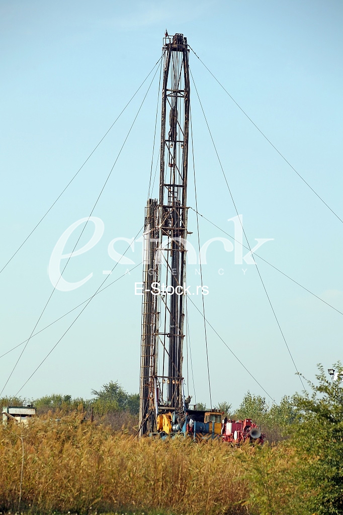 Oil